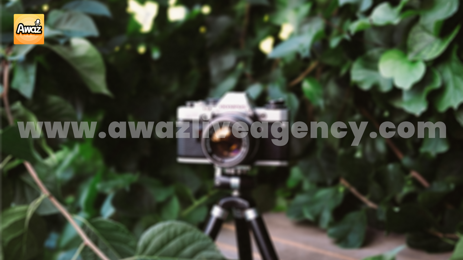 Tools for Your Outdoor Streams as Awaz Live Hosts