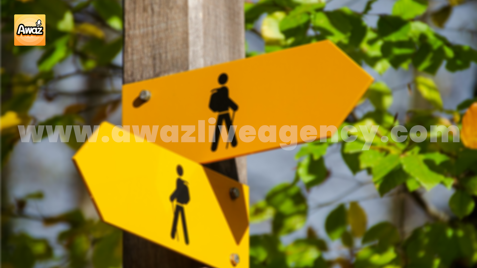 How to Provide Stream Directions as Awaz Live Agents